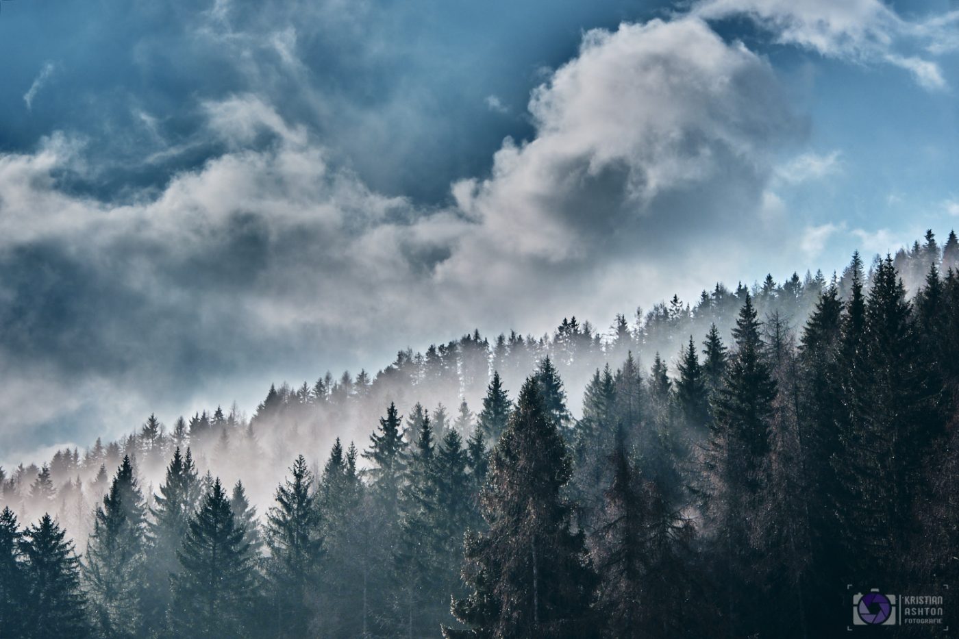 Morgennebel beim Pfösl